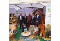 ayvalikta zeytin ve zeytinyagi buyuk festival pazari acildi