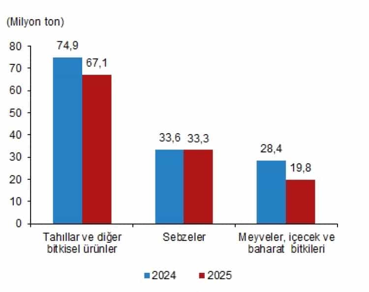 TÜİK: 2025’te Bitkisel Üretimde Gerileme Bekleniyor