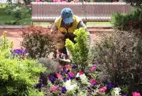 Keçiören’de Seradan Parklara Uzanan Yeşil Dokunuş