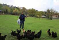 kirsalda gecim kapisi gucleniyor istihdam artiyor