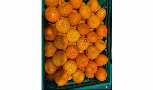 mandalina ihracati tarih yaziyor