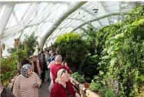 selcuklu yuz binlerce kisiyi agirladi