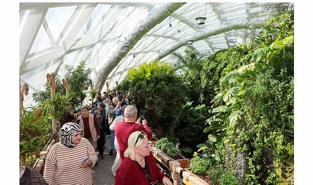 selcuklu yuz binlerce kisiyi agirladi