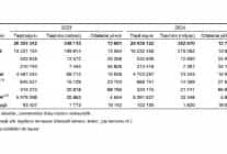 tasit kilometre istatistikleri 2024