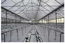 termal sera ile verimli uretim basliyor