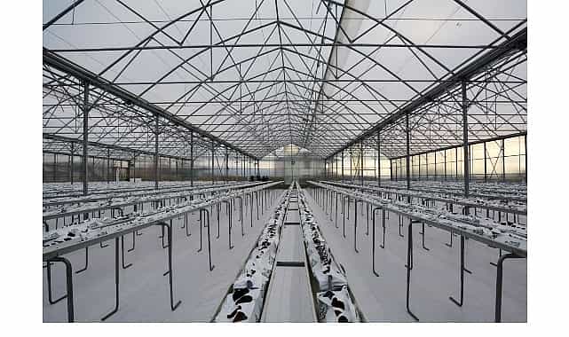 termal sera ile verimli uretim basliyor