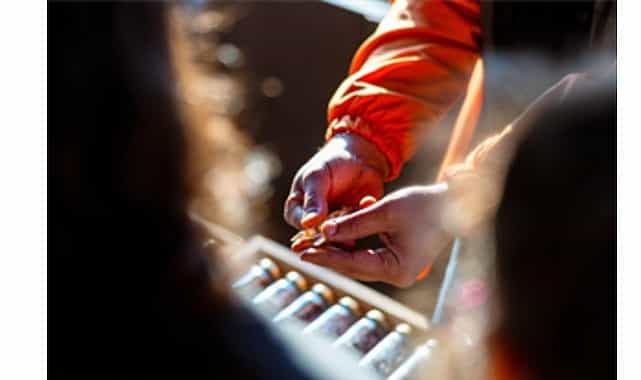 tohumdan topraga topraktan sofraya