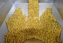 zeytin ve zeytinyagi sektorunde gucler urge projesinde birlestirilecek