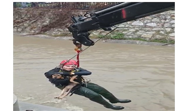 dereye dusen kopek itfaiye ekipleri tarafindan kurtarildi