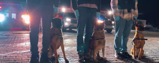 Ekran goruntusu 2026 02 23 104018