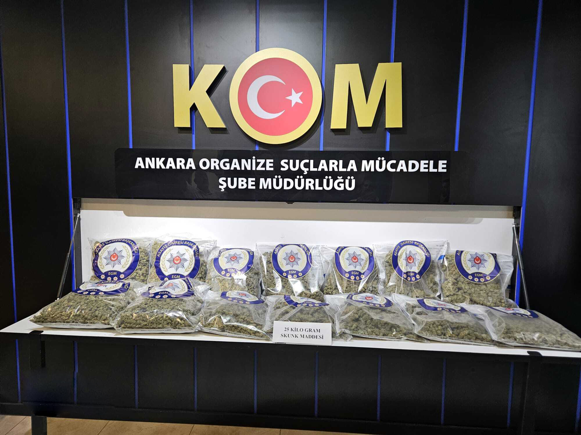 ANKARADA 25 KILO SKUNK ELE GECIRILDI 2 1285227 382413