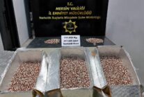 MERSINDE 317 BIN 285 ADET SENTETIK ECZA 1325701 393799