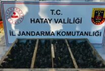 TRAKTORUN ROMORKUNDA 2 BIN 114 SAKA ELE 1467469 436604